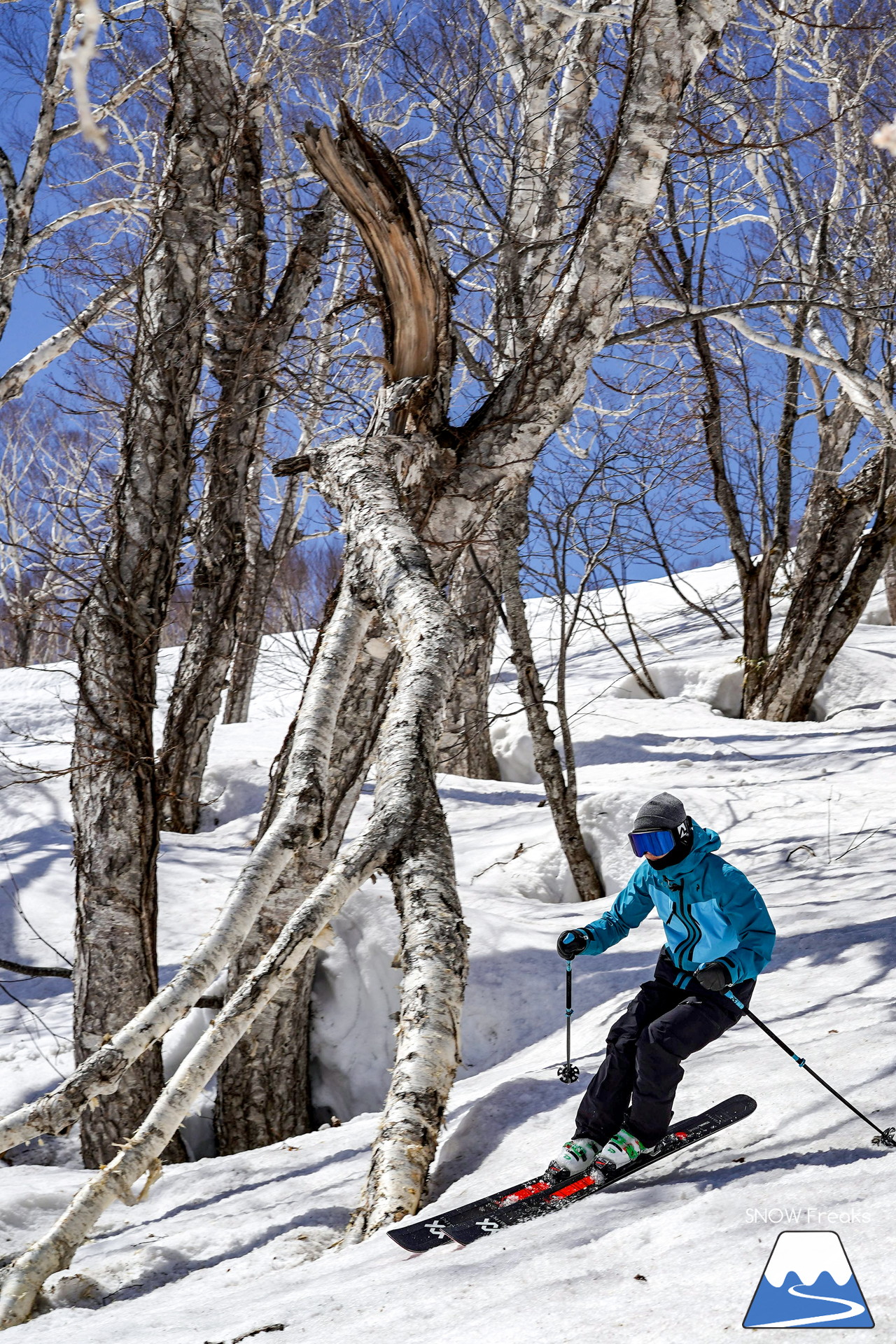 ニセコグラン・ヒラフ DYNASTAR SKI TEST RIDE DAYS Photo Session!!最高の天気に恵まれたニセコに、最高の仲間たちが集まりました☆